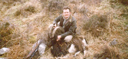 Wild (feral) Scottish Hill Goat