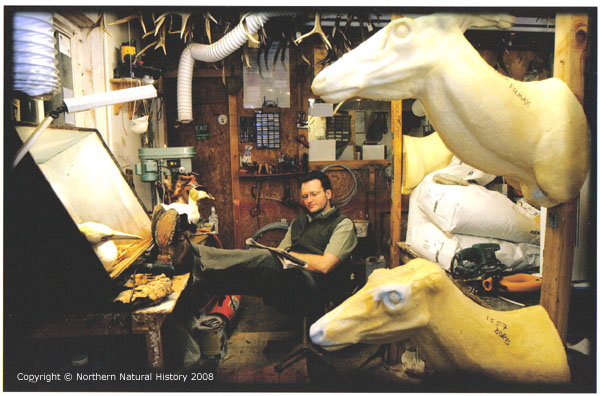 Taxidermy Workshops 2007